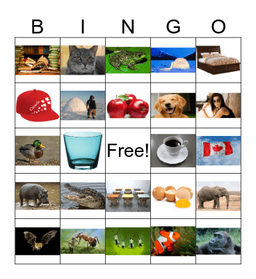 Step Up Review 1 Bingo Card