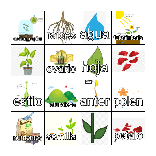 Flores y Plantas Bingo Card