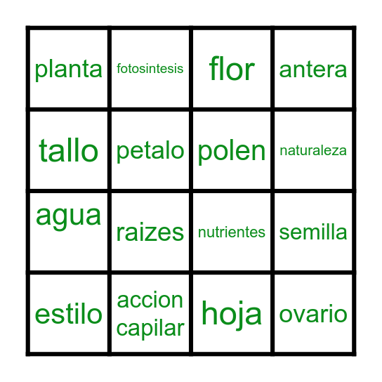 Flores y Plantas Bingo Card