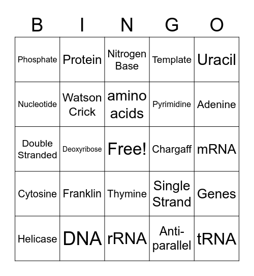 Unit 5.2 Bingo Card