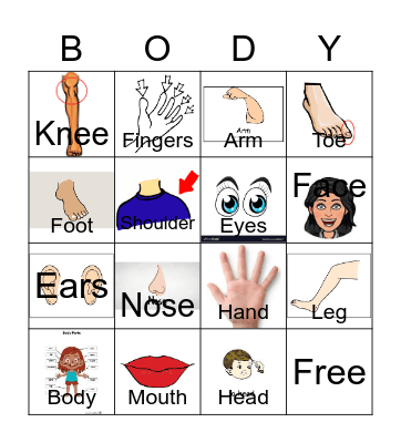 Body Parts  Bingo Card