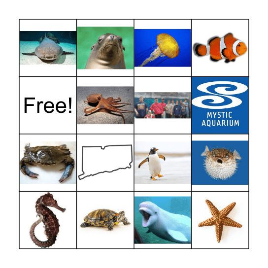 Mystic Aquarium BINGO Card