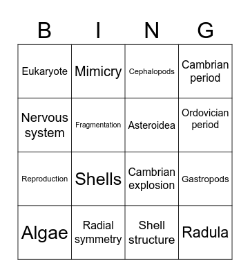 Mollusca & Echinodermata Bingo Card
