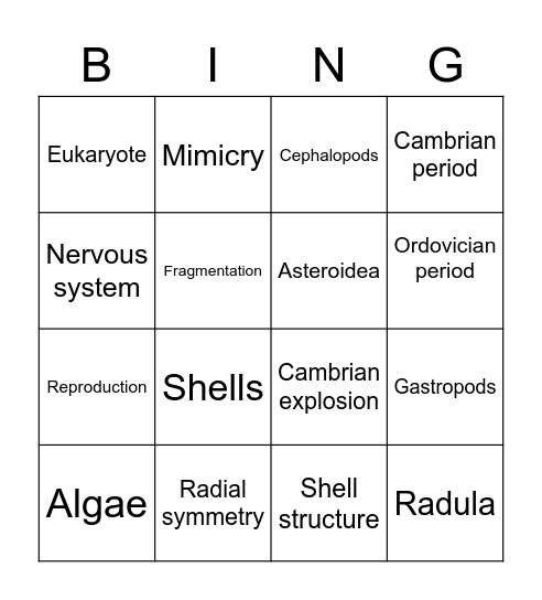 Mollusca & Echinodermata Bingo Card