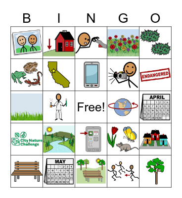 The Nature City Challenge Bingo Card