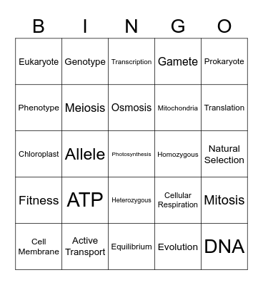 EOC Review Bingo Card