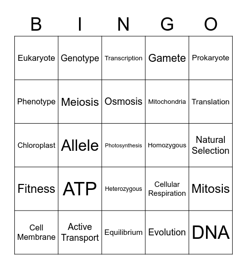 EOC Review Bingo Card
