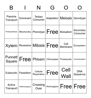 STAAR BIOLOGY REVIEW Bingo Card
