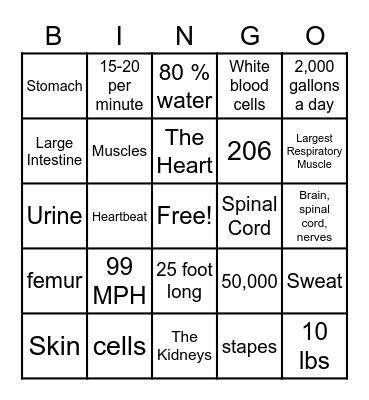 Human Body Bingo Card