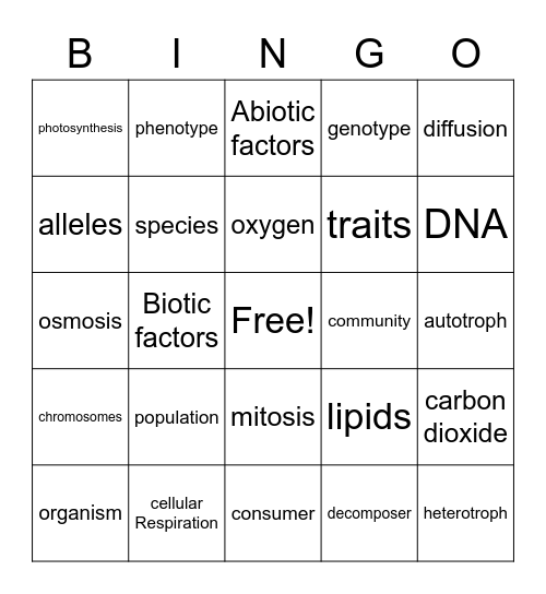 EOC Review Bingo Card