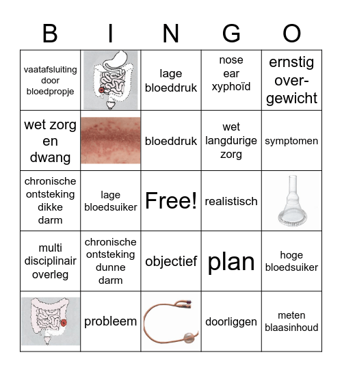 IBO's tweede jaar Bingo Card
