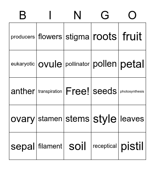 Plant Parts Bingo Card