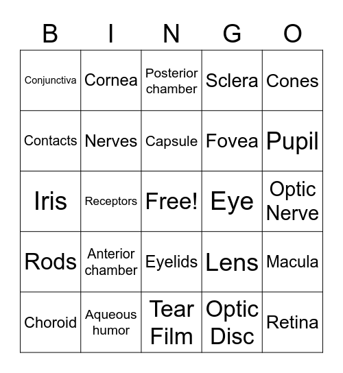 Ophthalmology Bingo Card