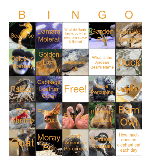 Zoo Bingo Card