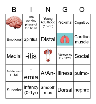 A&P Review Bingo Card
