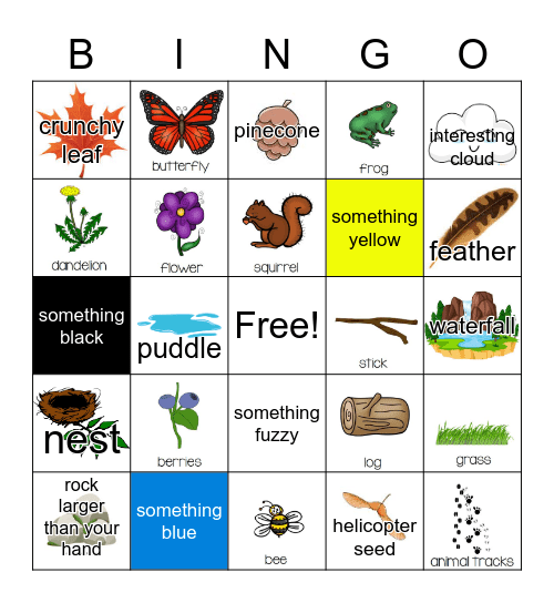 N A T U R E Bingo Card