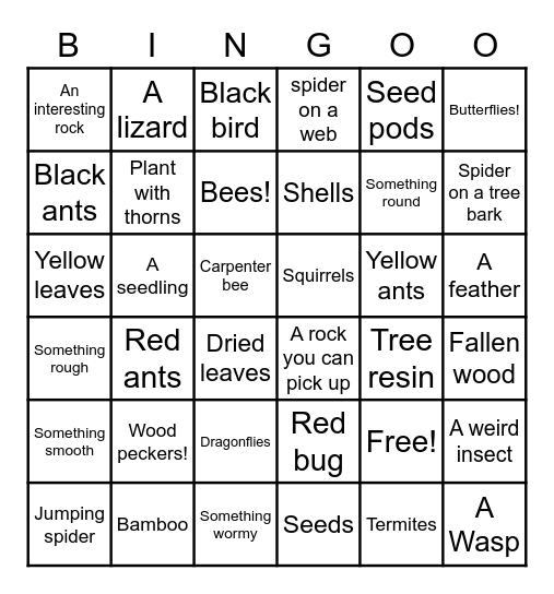 Nature Scavenger hunt! Bingo Card