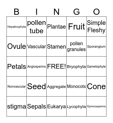 Introduction to Plants Bingo Card