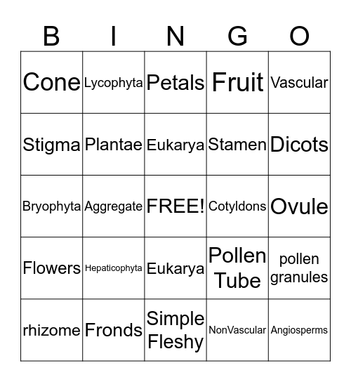 Introduction to Plants Bingo Card