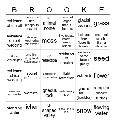 New Hampshire Science Bingo Card