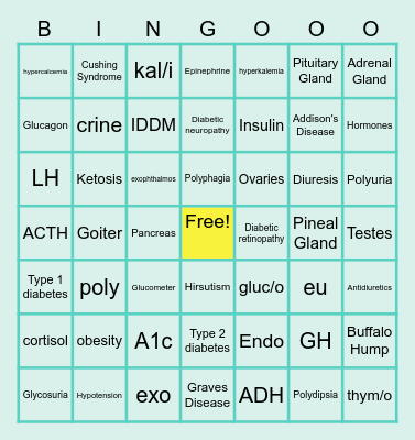 Endocrine System Bingo Card