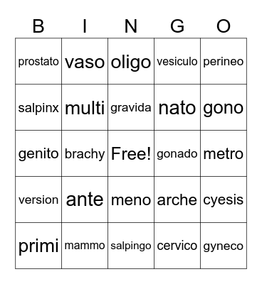 Reproductive System Bingo Card