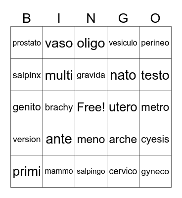 Reproductive System Bingo Card