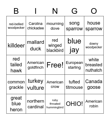 OHIO BIRDS Bingo Card