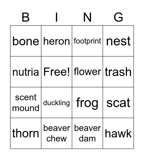 Wetland Bingo Card