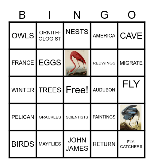 JOHN JAMES AUDUBON Bingo Card