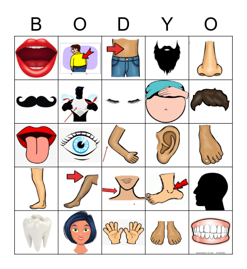 Sp1B Partes del cuerpo Bingo Card