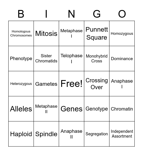 Meiosis & Mendel Bingo Card