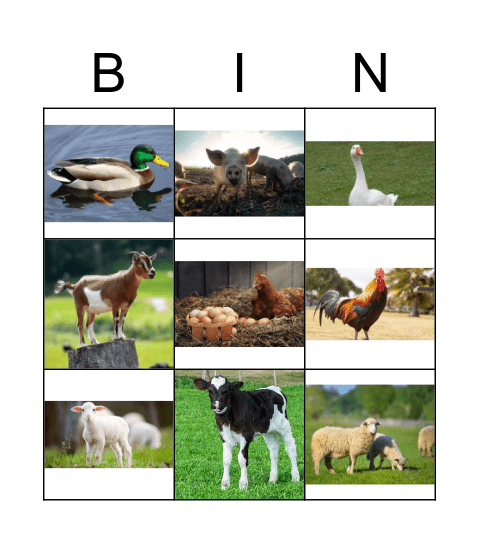 Farm Animals Bingo Card