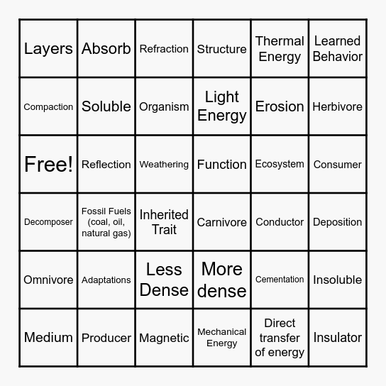 STAAR Science Vocab Review Bingo Card