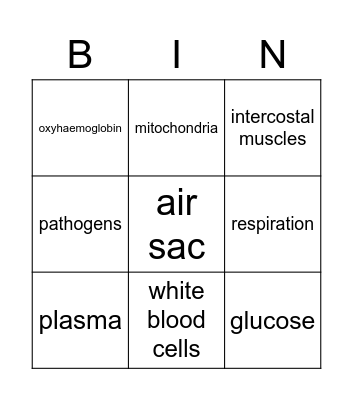 Book 8 - Unit 1 - Bingo Card