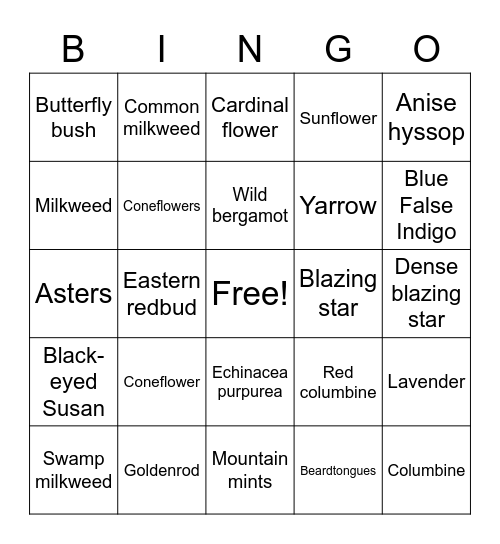 Pollinator BINGO Card