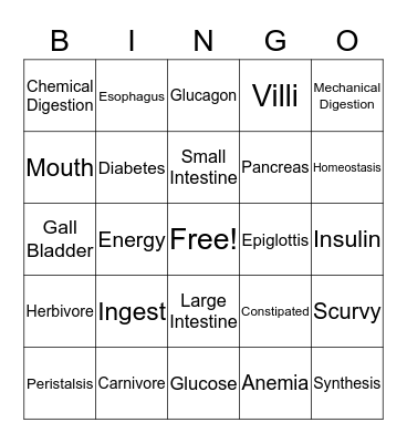 Digestion Bingo Review Bingo Card