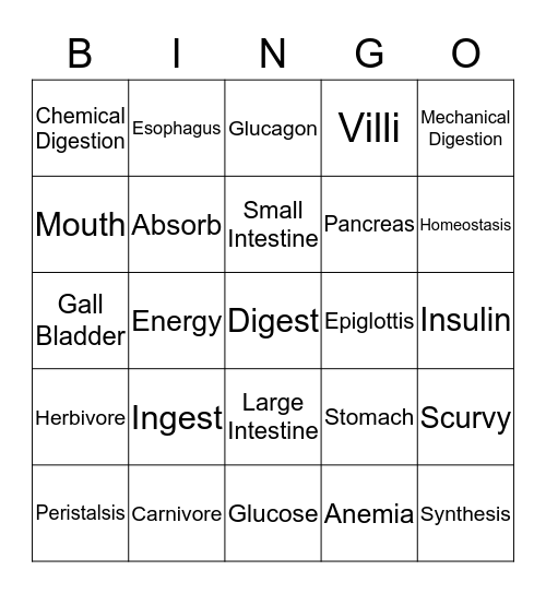 Digestion Bingo Review Bingo Card