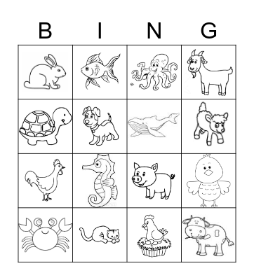 Boomgaard Editie Lite Bingo Card