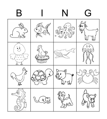 Boomgaard Editie Lite Bingo Card