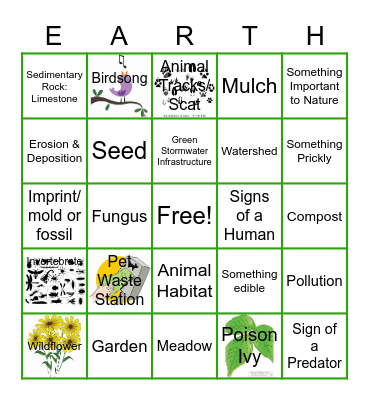 Sunset Valley Elementary Earth School BINGO Card