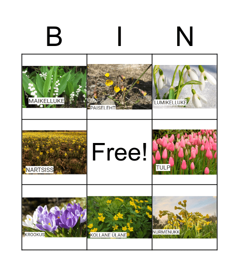 LILLED Bingo Card