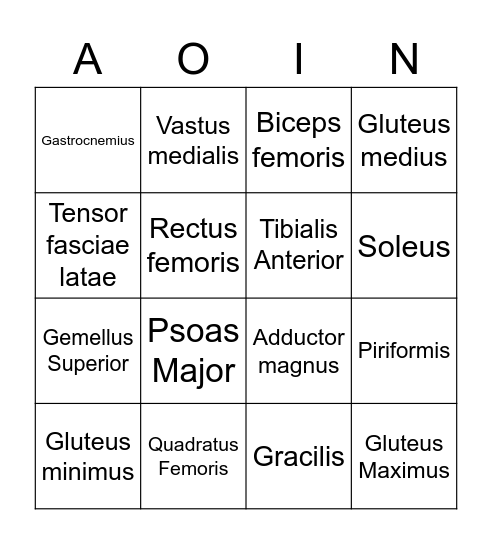 Palpation Anatomy Bingo Card