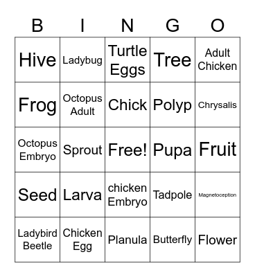 Life Cycles BINGO Card