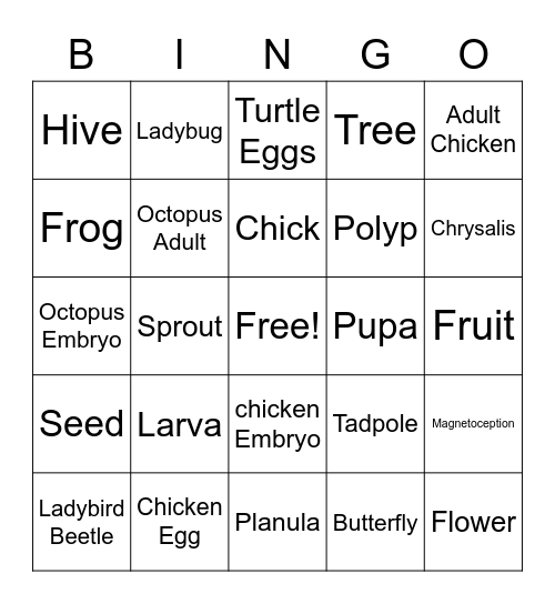 Life Cycles BINGO Card