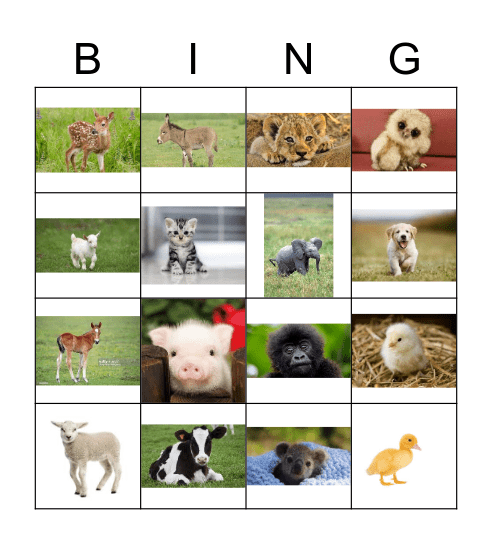 Baby Animals Bingo Card