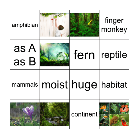 Awesome Rainforests Bingo Card