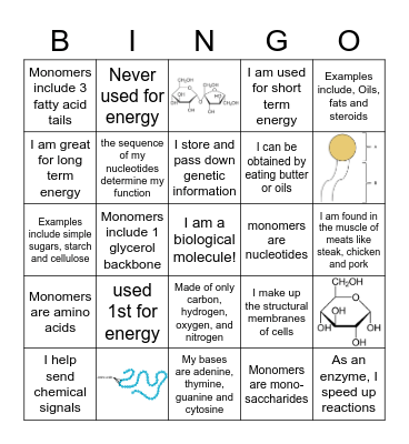Bio-Molecule Bingo Card