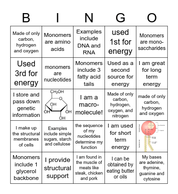 macromolecules Bingo Card