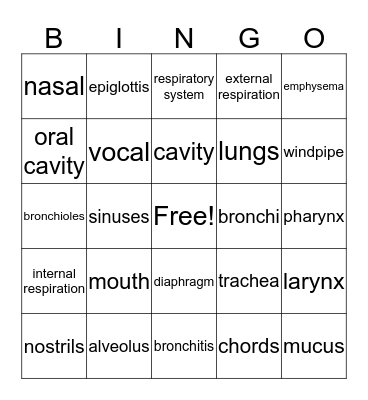 Respiratory System Bingo Card